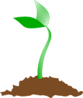 Germination