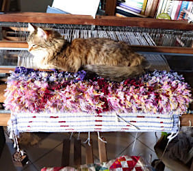 Tissage en cours de Fabienne